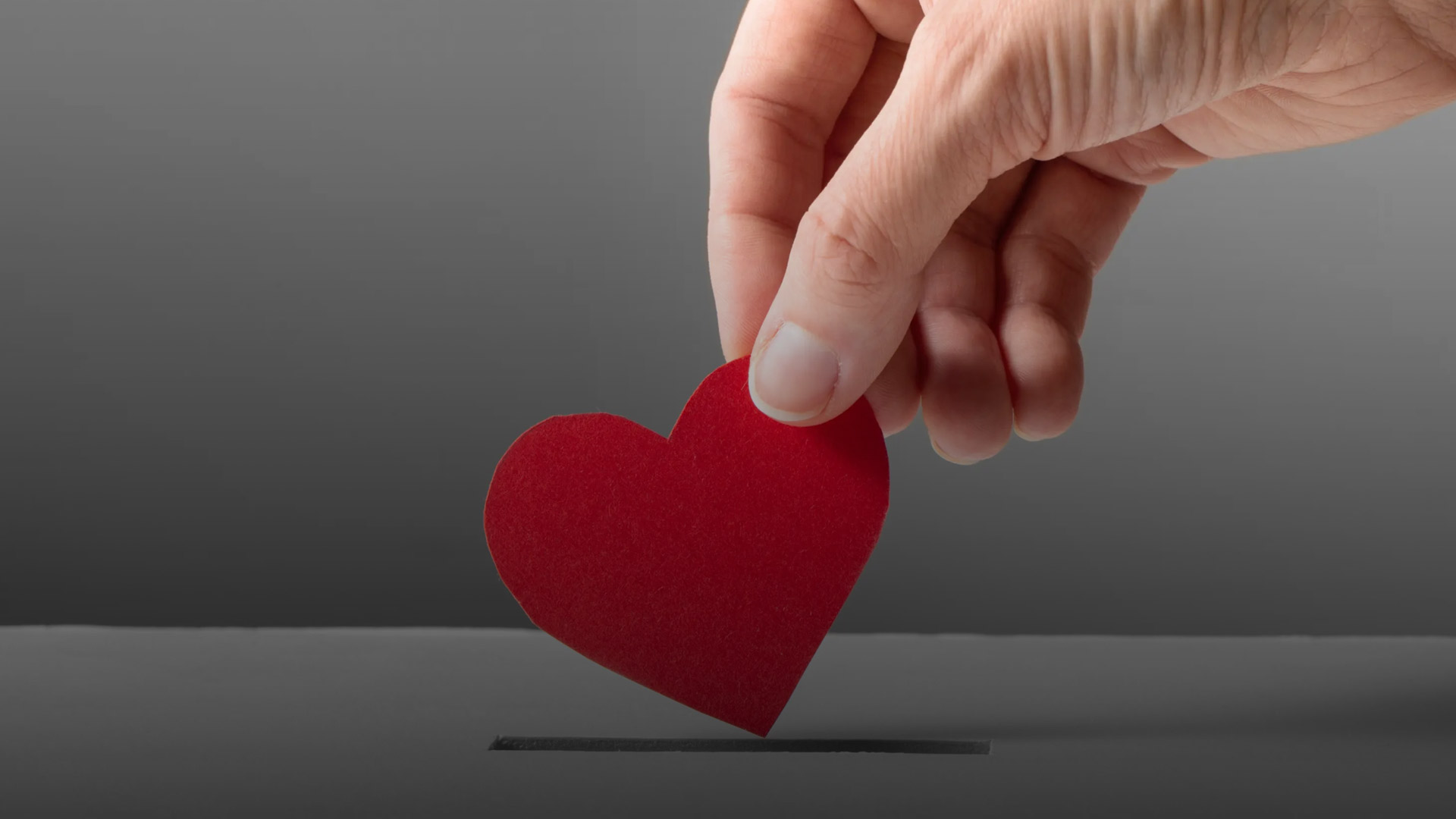 Dil Derneği Bağış